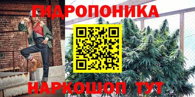 метадон Лесосибирск